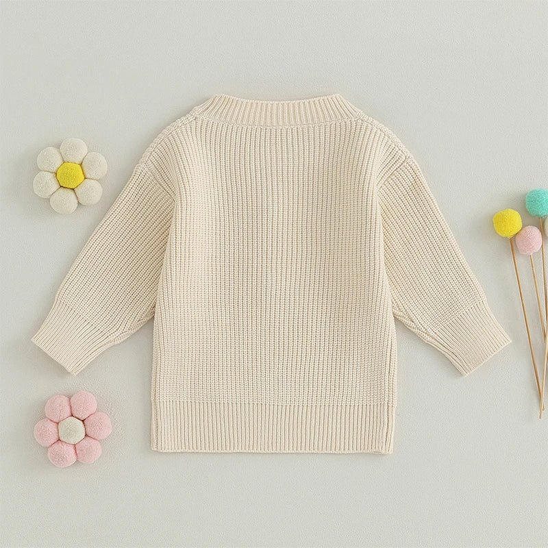 2023-07-04 Lioraitiin 0-5T Toddler Baby Girl Boy Chunky Knit Sweater Top Little Sister Matching Outfits Neutral Baby Boutique