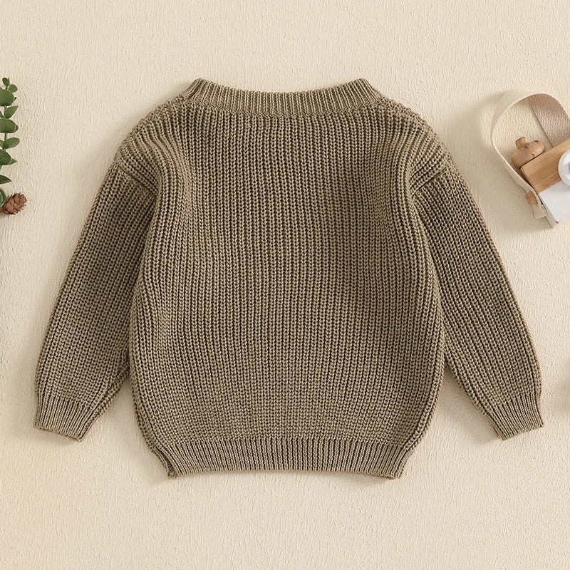 Toddler Baby Girl and Boy Sweater Hat Embroidery Long Sleeve Pullover 2024 Fall Winter Kids Clothes Newborn Boy Girl Jumpers Top Neutral Baby Boutique
